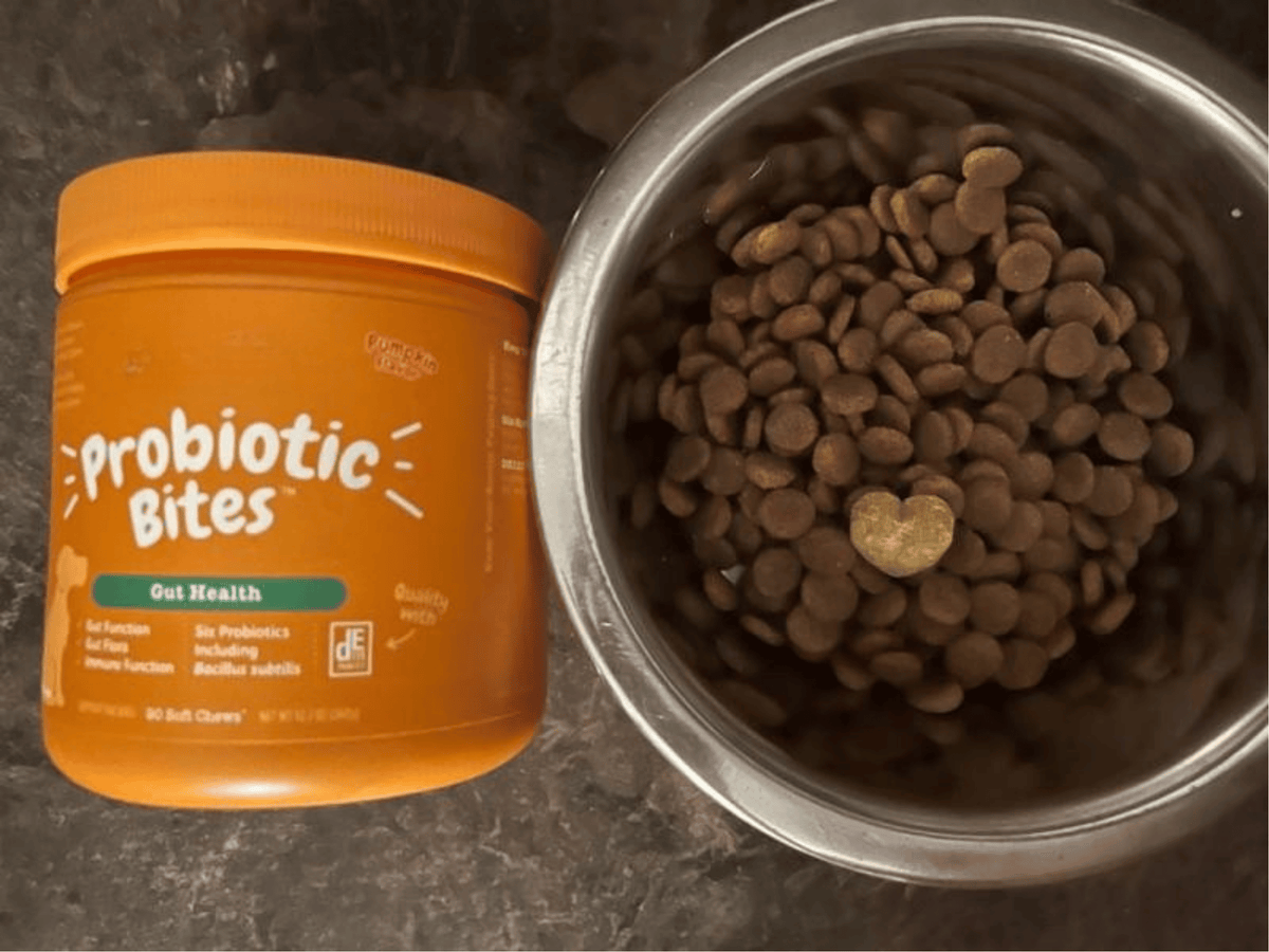Probiotikai šunims