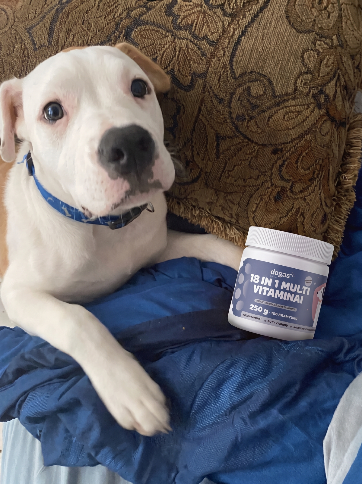 18in1 multivitaminai