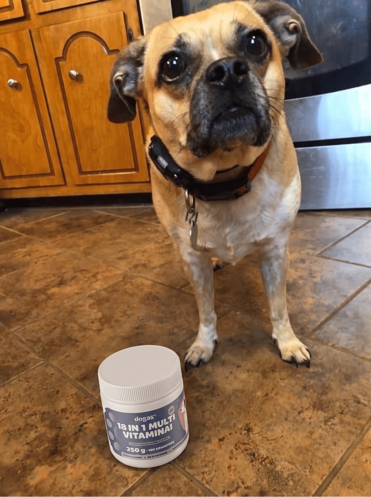 18in1 multivitaminai