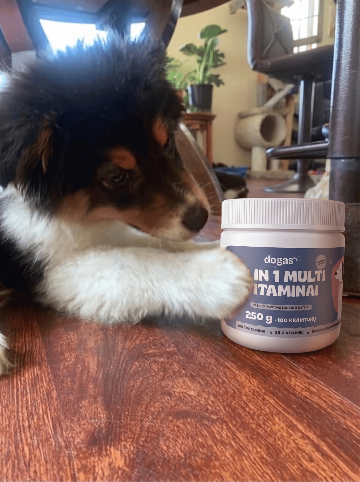 18in1 multivitaminai