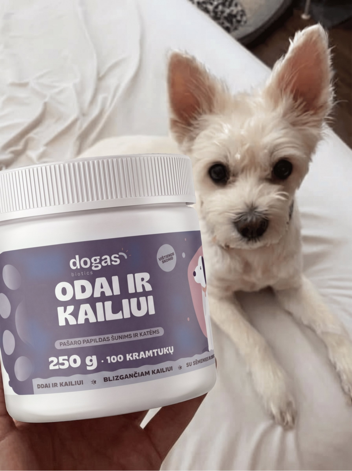 Odai ir kailiui – šuo su stiklainiu
