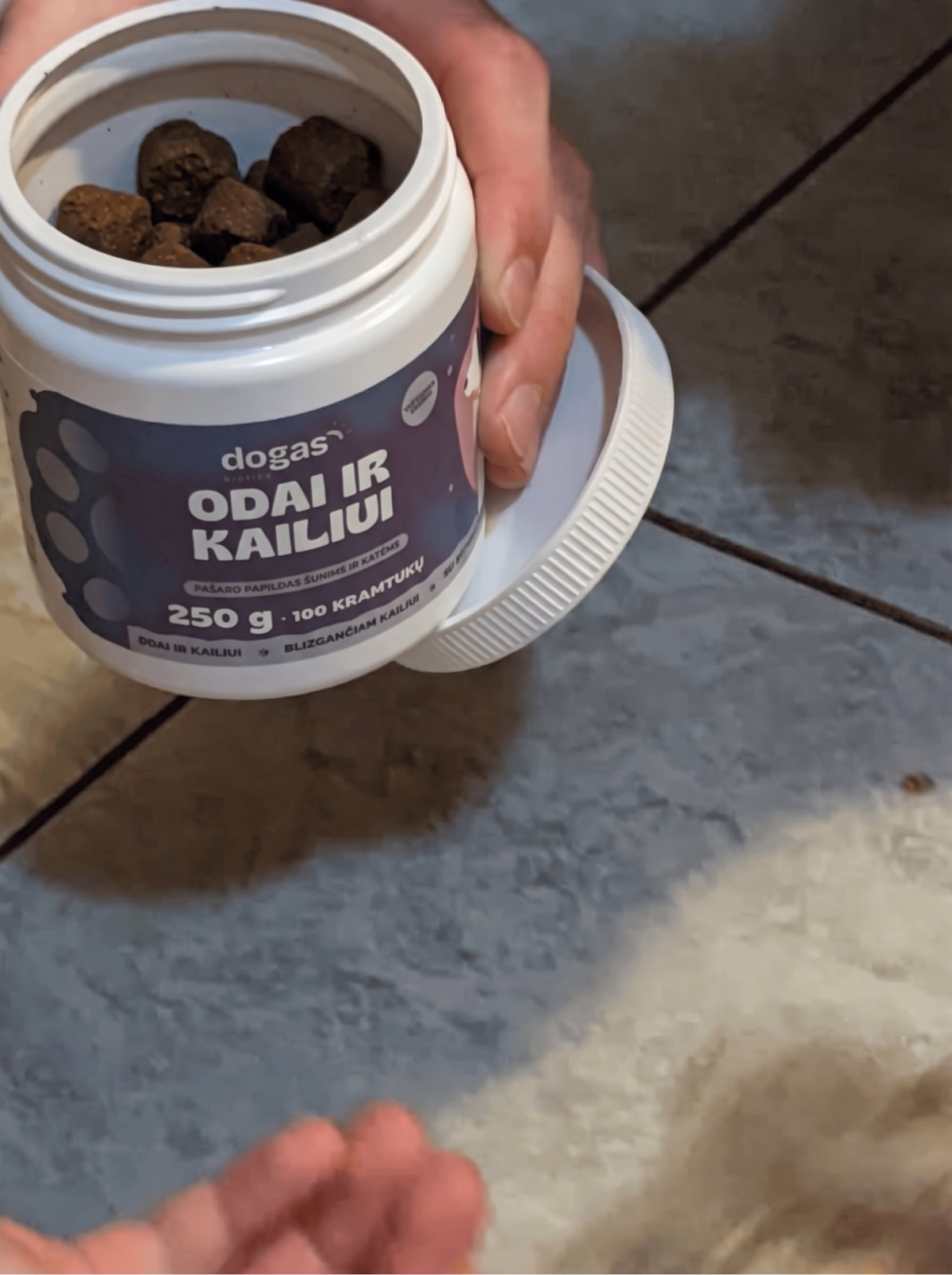 Odai ir kailiui – šuo su stiklainiu