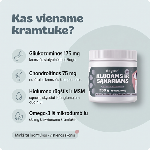 Klubams ir sąnariams – kas viename kramtuke