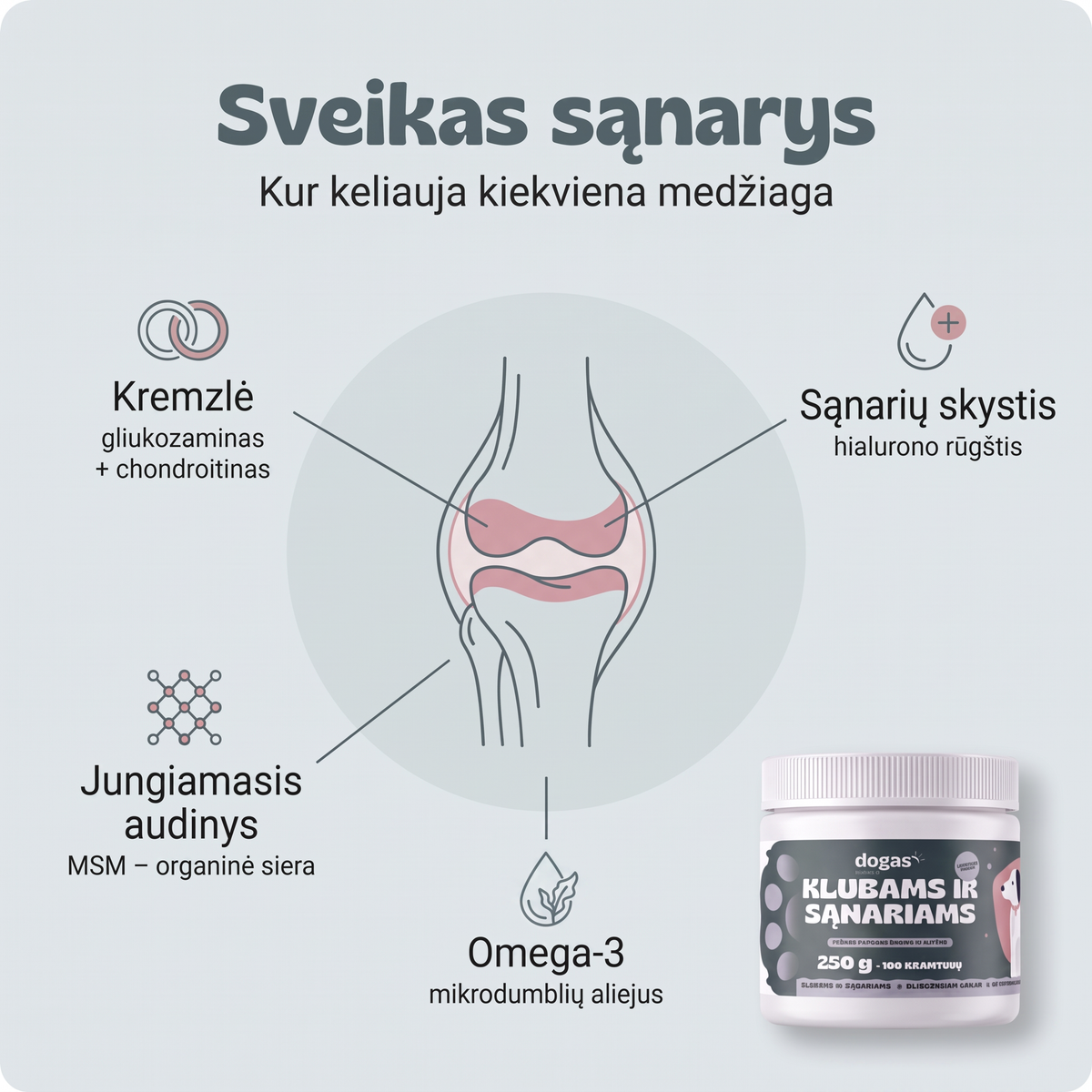 Klubams ir sąnariams – sveikas sąnarys