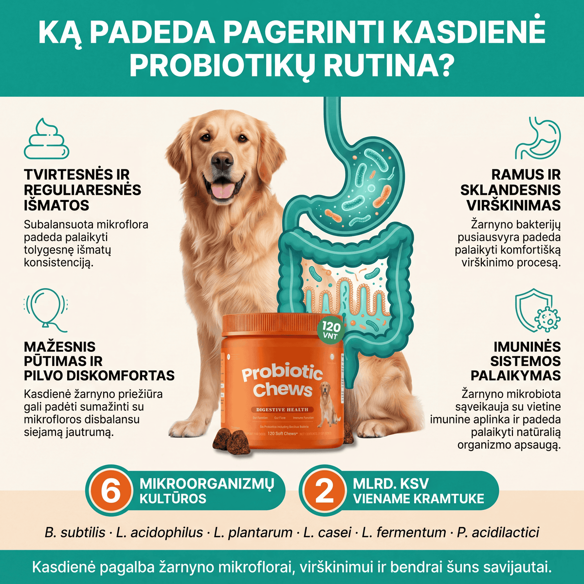 Probiotikai šunims