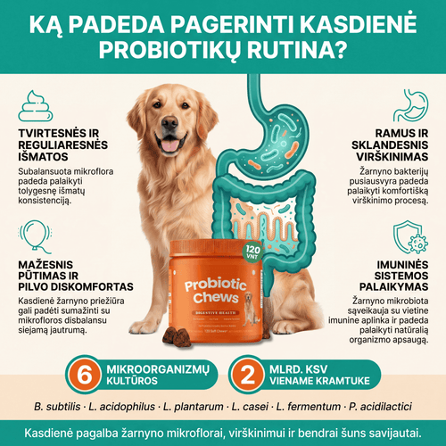 Probiotikai šunims